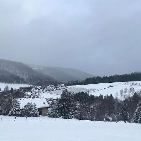 Appartement Familie Willems Winterberg 3 Exteriér fotografie