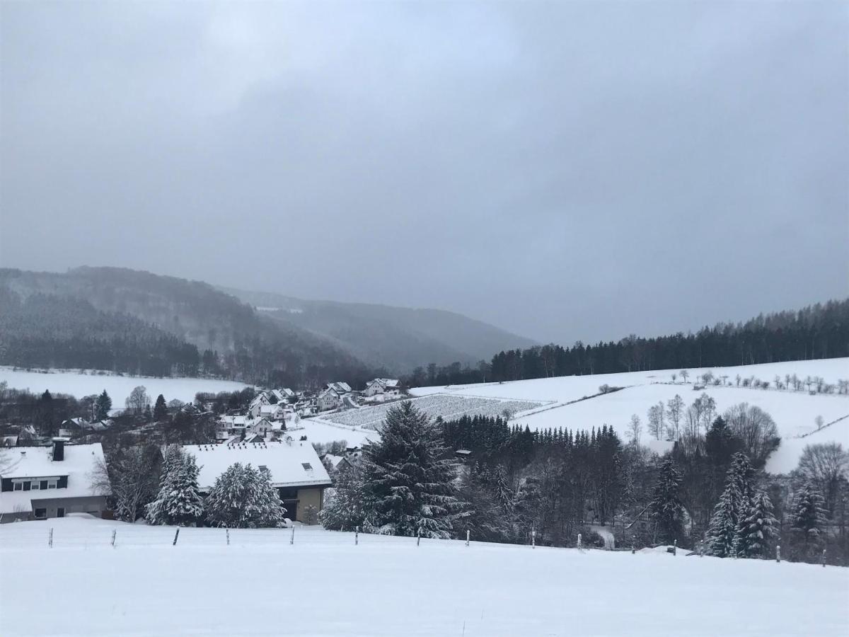 Appartement Familie Willems Winterberg 3 Exteriér fotografie
